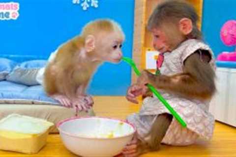 Sweet moments when BiBi takes care of baby monkey Obi