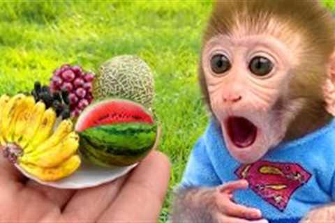 Monkey Baby Bon Bon eat hamburger and with puppy go to a picnic to eat lunch in the garden