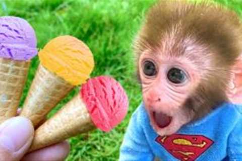 Monkey Baby Bon Bon Eats fruit ice cream with baby rabbit and swims with puppy at the pool