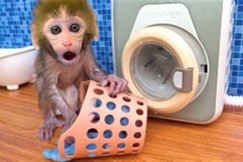 Monkey Baby Bon Bon got his clothes dirty and went to do laundry in the toilet