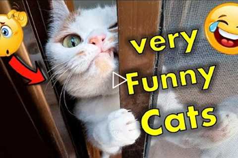 Funny Animal video 2022 🤣 - Funny Cats and Dogs Videos 😺😍 #3 || funny animals #cats  #animals ..