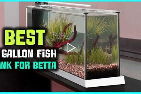 Top 5 Best 5-Gallon Fish Tanks for Betta [Review] - 5-Gallon Fish Tank With Filter [2022]