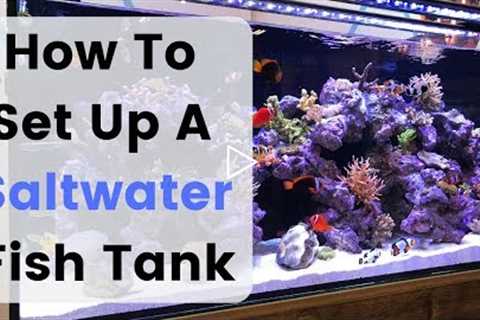 How To Set Up (Build) A Saltwater Fish Tank / Aquarium