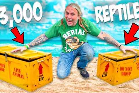 $3000 of Reptiles Arrive! Let's Unbox Them!