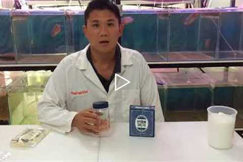 What salt is safe? Fish Vet's advice on using salt for freshwater fish in aquariums and ponds