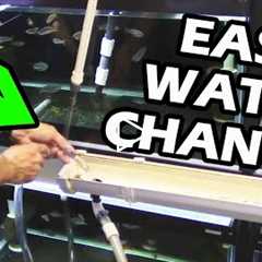 How To Do Water Changes in your Aquarium Fish Room. Gary Don't Carry