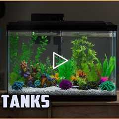 Top 5 Best Fish Tanks Review in 2022