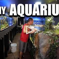 ALL MY AQUARIUMS - The king of DIY fish tanks tour