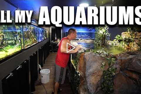 ALL MY AQUARIUMS - The king of DIY fish tanks tour