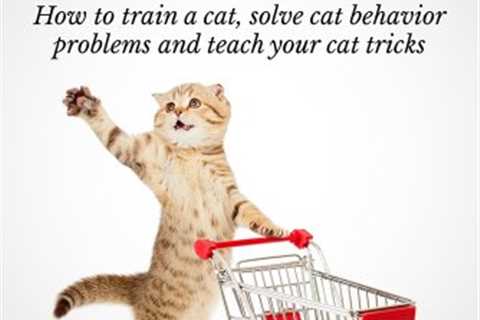 Get This Report about How To Train Your Cat To Play Without Using Teeth Or Claws 