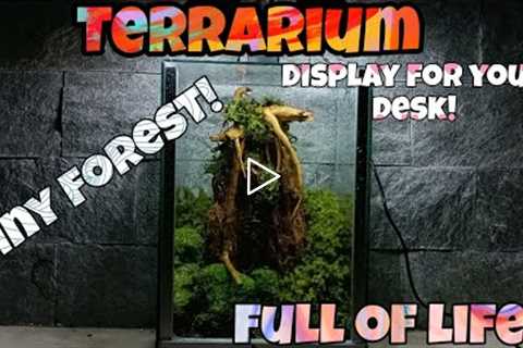how to make simple Terrarium for your desk! planted Jar