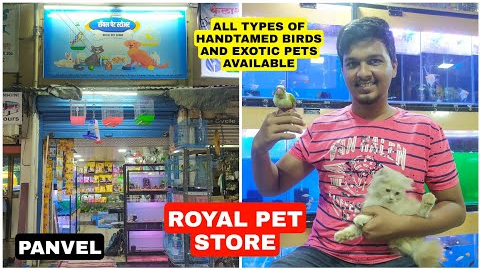 Variety of Fishes | Handtamed Birds | Cats | Exotic Pets | Royal Pet Store | Panvel | Fish.n.ansari
