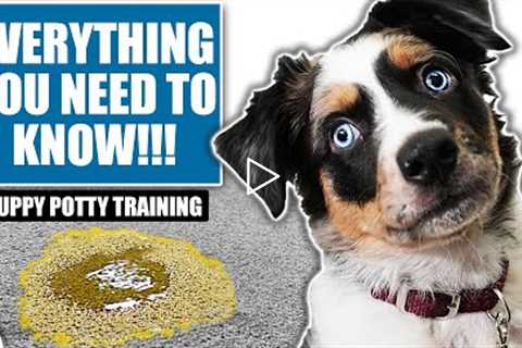 Your COMPLETE Guide To Puppy Potty Training!