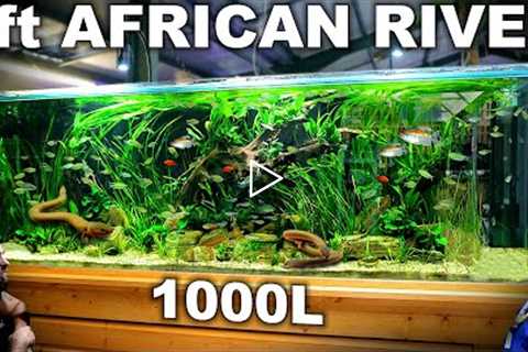 The 8ft African River Aquarium: EPIC 1000L Build over 300 Fish (Aquascape Tutorial)