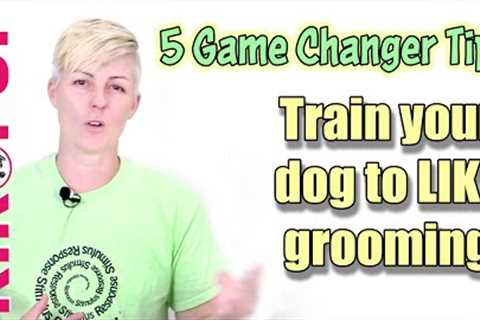 5 TIPS for training your dog to like GROOMING and NAIL TRIMMING