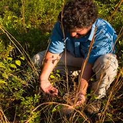Conserving Imperiled Amphibians and Reptiles in a Changing Climate