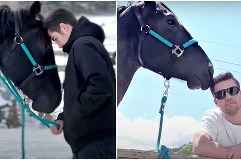 Horse That Doesn’t Like His New Mom Develops Massive Crush On Her Boyfriend