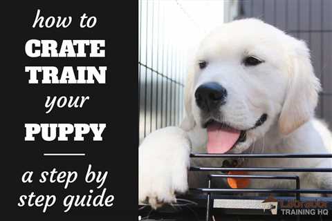 Training Your Puppy to Stay - Techniques and Strategies For Keeping Your Dog Safe and Happy