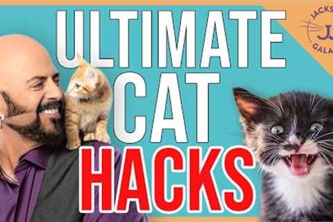 10 Things that Will Change Your Life (& The Life of Your Cat)!