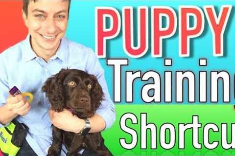 The Puppy Training Shortcut: Clicker Training Explained