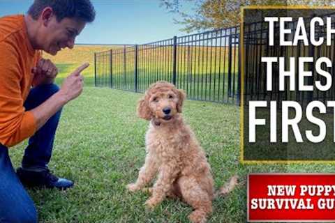 NEW PUPPY SURVIVAL GUIDE: The FIRST Things to Teach Your NEW PUPPY! (EP: 3)