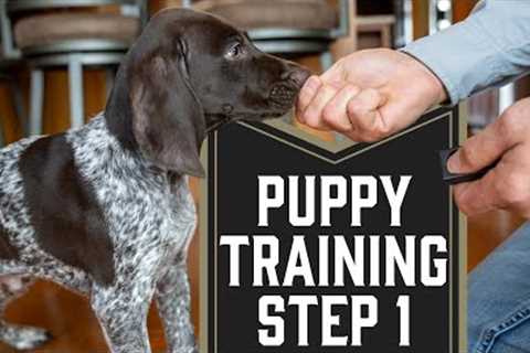 First Step To Training A Puppy