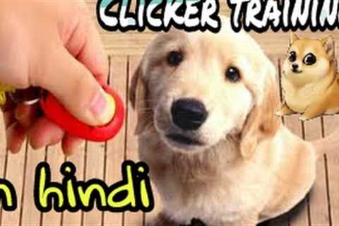 How to clicker train your dog | Clicker training | Doggies squad |