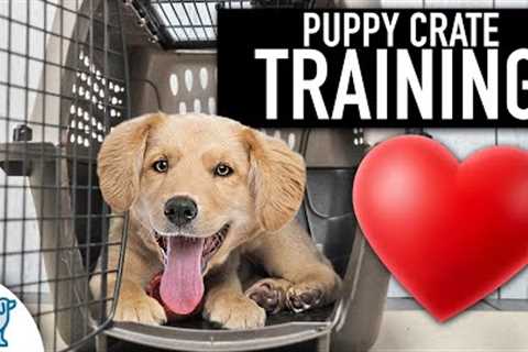 Crate Training Doesn''t Need To Be Stressful!
