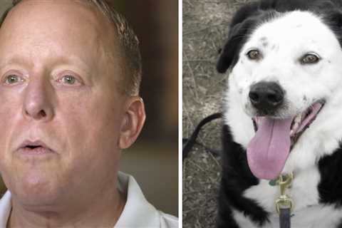 Man’s told he has 5 years to live, so he goes to a shelter and asks for an ‘obese, middle-aged dog’