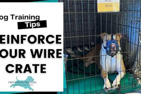Wire Crate Reinforcement | Freedom K9 Training