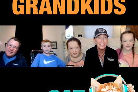 Cats & Grandkids