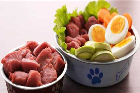 Is Organic Raw Dog Food Worth It For Dogs?