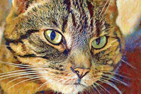 Close Up Caturday Art
