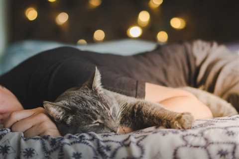 Why Do Cats Sleep So Much? Common Reasons & When to Worry