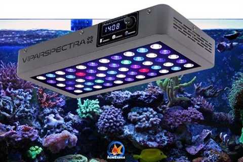 Best LED Aquarium Lighting | Top-13: Great Fixtures for Freshwater, Planted & Reef Tanks. [Pick..