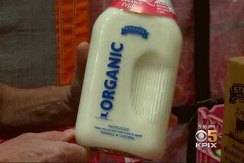 ORGANIC DAIRY: Smaller dairy farms struggle with glut of organic milk