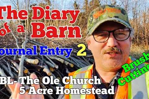 Diary of a Barn Journal Entry 2 #barn #theolechurch #diy