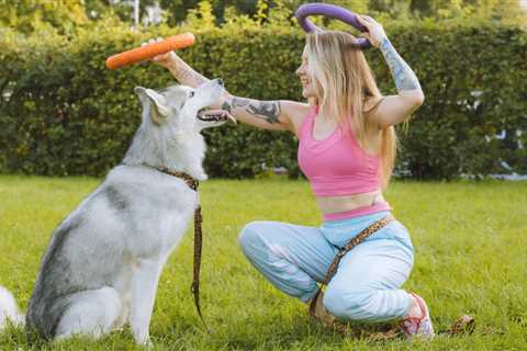The 10 Best Hip & Joint Supplements for Dogs