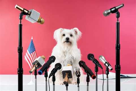 Animal Politicians: 10 US Towns That Have Elected Furry Friends