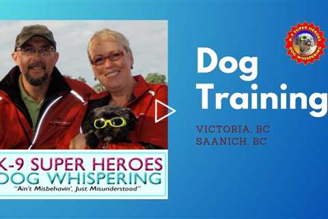 Dog Training Victoria BC - K-9 Super Heroes Dog Whispering