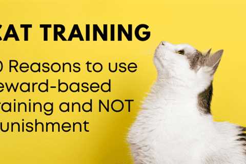 Cat Training: 10 Reasons to Use Reward-Based Training and Not Punishment