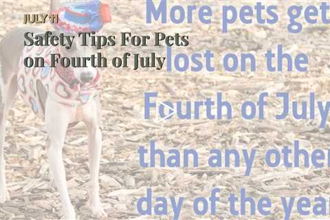 Safety Tips For Pets on Fourth of July