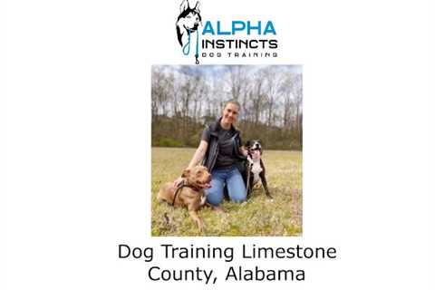 Alpha Instincts Dog Training