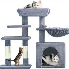 Yes, Your Kitty Needs a Cat Tree – Here’s How to Choose the Best One