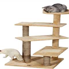 What If You Don’t Have Room for An Indoor Cat Tree?