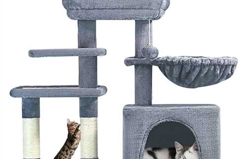 Yes, Your Kitty Needs a Cat Tree – Here’s How to Choose the Best One