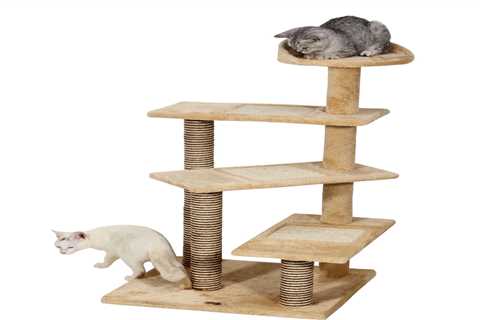 What If You Don’t Have Room for An Indoor Cat Tree?