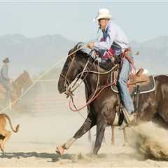 Bringing Your Pet to the Rodeo in Bossier City, Louisiana: What You Need to Know