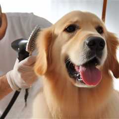 Gentle Dog Grooming Picks for Delicate Skin Care