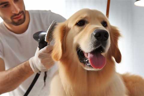 Gentle Dog Grooming Picks for Delicate Skin Care